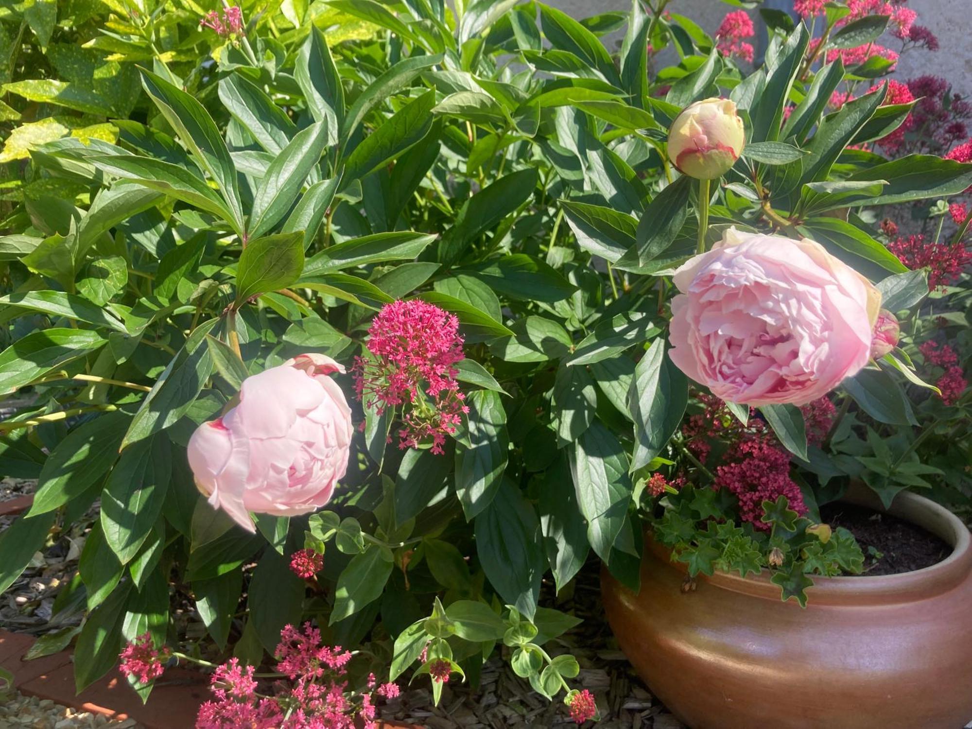 Vila Logis Cote Jardin Varennes-les-Narcy Exteriér fotografie